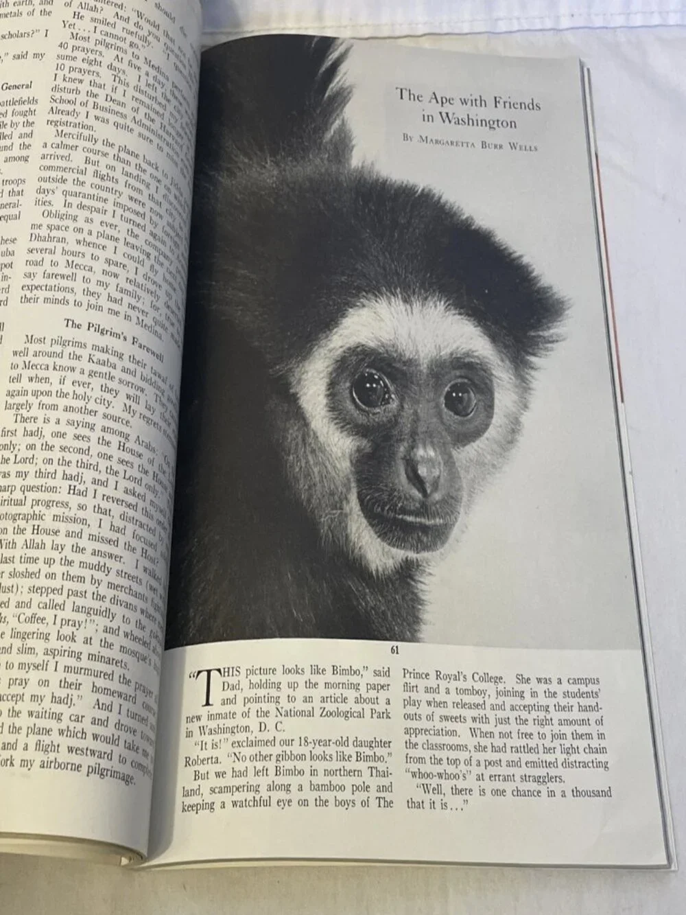 NAT GEO July 1953 National Geographic Magazine Vol 104 No 1 Vintage NO MAP